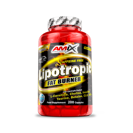 Lipotropic Fat Burner 200 tabletta - AmixOfficial.hu -  - 