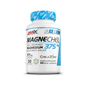 Performance Amix® MagneChel® Magnesium Chelate 90 kapszula - AmixOfficial.hu -  - 
